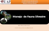 Manejo de Fauna Silvestre - uap.edu.pe · y tiene como objetivo brindar los conocimientos fundamentales sobre: ... terapéutica y medicina en reptiles, aves y mamíferos) -Nutrición