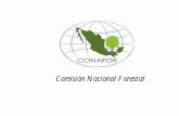Comisión Nacional Forestal - Consejos Consultivos para …ccds.semarnat.gob.mx/regiones/r-sse/2002-2004/sesion_16_2002/docs... · federalismo, transparencia y rendición de cuentas,