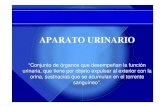 APARATO URINARIO - dea.unsj.edu.ardea.unsj.edu.ar/biologia2/APARATO URINARIO.pdf · APARATO URINARIO “Conjunto de órganos que desempeñan la función ... RIÑONES VÍAS EXCRETORAS