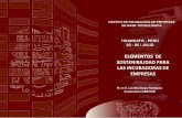 ELEMENTOS DE SOSTENIBILIDAD PARA LAS …peruincuba.net/portal/pdfs/2007/8.pdf · organigrama estructura ... staf de consultores por proyecto ...