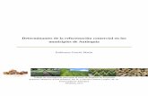 Determinantes de la reforestación comercial en los …bibliotecadigital.udea.edu.co/bitstream/10495/2998/1/Artículo... · Se revisa literatura para identificar los factores relacionados