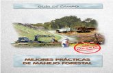 UNIVERSIDAD AUSTRAL DE CHILE - uach.cl · blecimiento de plantaciones en terrenos de aptitud forestal sin involucrar sustitución de bosques nativos. ... → Factores limitantes del