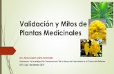Validación y Mitos de Plantas Medicinalesrepositorio.educacionsuperior.gob.ec/bitstream/28000/4851/2/Anexo 2... · Los efectos biológicos son los mismos y no tiene que ver con el