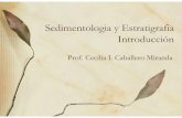 10Sedimentologia y Estratigrafia Introducciónusuarios.geofisica.unam.mx/cecilia/CT-SeEs/10Sedimentologia y... · Estudio de los procesos que: forman, transportan y depositan materiales