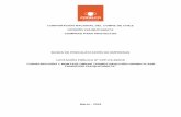 CORPORACIÓN NACIONAL DEL COBRE DE CHILE · 2018-03-13 · cumpliendo con el estándar de seguridad y cuidado al medio ambiente exigido por la ... también las credenciales (usuario