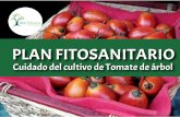 Plan fitosanitario Tomate de arbol - Ideas Biológicas · TEXTURA: Francos, Franco arenosos, ... El perforador o barrenador de los frutos del tomate de árbol es el ... bordes color