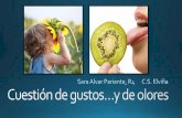 Presentación de PowerPoint - 1aria.com³n Elviña anosmia... · Antihistaminicos y descongestivos: clorfeniramina, loratadina, seudoefedrina Antihipertensivos y medicación cardiaca: