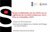 Presentación de PowerPoint - minsalud.gov.co · Responsabilidades de las EAPB con la vigilancia de la enfermedad por virus Zika en Colombia, 2015 Grupo de ETV-Zoonosis Dirección
