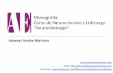 Monografía Curso de Neurociencias y Liderazgo … · curso de neurociencia y liderazgo, “Neuroliderazgo”, se podría reformular la capacitación, agregando material y actividades.