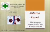 Adulto y Anciano I Sistema Renal · funcionales = NEFRONAS Cada riñón cuenta con +- 1 millón de nefronas ... Tipos de Incontinencia a) TOTAL: Perdida total, ...