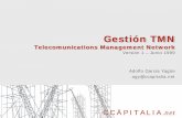 Gestión TMN - ccapitalia.net · servicios que satisfagan las necesidades de calidad de los clientes, ... nuevos operadores, redes de telecomunicaciones, tecnologías y fabricantes