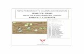 FORO PERMANENTE DE ANÁLISIS REGIONAL UMSS.pdf · PDF fileSuroccidental y Beniana, lo que le confiere una alta diversidad de especies y de ... ecosistema, se conservará la flora