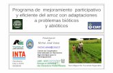 Proggj pprama de mejoramiento participativo y … · Proggj pprama de mejoramiento participativo y eficiente del arroz con adaptaciones a problemas bióticosa problemas bióticos