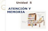 oATENCIÓN Y MEMORIA - Psicología bachillerato · Modelo de almacenamiento y transferencia . ... Tipos de memoria a largo plazo Memoria Declarativa o Explícita ... La memoria no