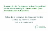 Protocolo de Cartagena sobre Seguridad de la …apps2.semarnat.gob.mx:8080/sissao/archivos/GALVEZ. UNAM1.pdf · p.ej. Convención Internacional de Protección Fitosanitaria (CIPF)