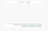 Patologías Bucales (SIVEPAB) 2014 - El portal único … · 2017-04-19 · Nuevo León Jessica Suhail Sauceda Garza ... Yeslie Alejandra Moctezuma Sánchez Jalisco ... Nuevo León