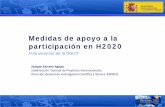 Medidas de apoyo a la participación en H2020 - … · Joaquín Serrano Agejas. Subdirección General de Proyectos Internacionales. Dirección General de Investigación Científica