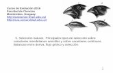 5. Selección natural. Principales tipos de selección …evolucion.fcien.edu.uy/Diapositivas/5.SeleccionNatural2016.pdf · de la herencia, cualquier variedad seleccionada tenderá