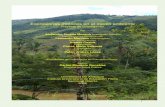 Expresiones motrices en el medio ambiente - …viref.udea.edu.co/contenido/pdf/089-afma.pdf · 1 Expresiones motrices en el medio ambiente Proyecto de investigación Por Alejandro