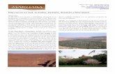 Marruecos en 4 x4. Antia tlas, kasbahs, desierto y ...marhabaviatges.com/files/Antiatlas_Kasbahs_desierto_Rak.pdf · las 14 horas podemos salir directamente desde el aero-puerto de