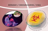 DENGUE / CHIKUNGUNYA / ZIKA - Home | … · • Puede coexistir con el virus del Dengue y el virus del Zika. ... Dolor articulaciones y huesos ... –Disminuir Fiebre y dolor en coyunturas