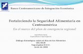 Fortaleciendo la Seguridad Alimentaria en Centroaméricalegacy.iica.int/Esp/conocimiento/actualidad/Documentos de otras... · Diálogo Estratégico sobre el Alza de los Alimentos