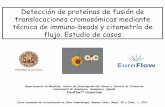 Detección de proteínas de fusión de translocaciones ...gbcflux.hospedaria.com.br/arq/CURSOAVANCADODECF... · Detección de proteínas de fusión de translocaciones cromosómicas