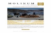 EXPOSICIÓN SOBRE MOLINOS EN MÉJICOmolinosacem.com/wp-content/uploads/2012/05/MOLINUM-Nº-35.pdf · Boletín Informativo y Divulgativo de ACEM ... “Documentos navarros de la Orden