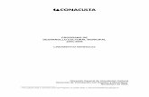 PROGRAMA DE DESARROLLO CULTURAL …vinculacion.cultura.gob.mx/docs_2015/Lineamientos_Generales_PDCM… · PROGRAMA DE DESARROLLO CULTURAL MUNICIPAL 2001-2006 LINEAMIENTOS GENERALES