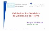 propuesta Calidad en los servicios de asistencia en … · Calidad en los Servicios de Asistencia en Tierra Antigua, Guatemala Octubre de 2002 Aeropuertos Españoles ... • encuestas