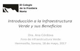 Introducción a la Infraestructura Verde y sus Beneficios FFIV/Ana... · •Ejemplos •Importancia y beneficios •Características, paradigma y principios •Mitos acerca de la