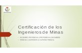 La Certificación de los Ingenieros de Minas - coimne.es · profesión de Ingeniero de Minas en el ámbito o ámbitos específicos de ... Currículum vitae en formato Europass ...