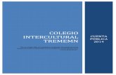 COLEGIO INTERCULTURAL TREMEMNtrememn.cl/wordpress/wp-content/uploads/2014/04/CUENTA_PUBLICA... · COLEGIO INTERCULTURAL TREMEMN “Ser un colegio líder en el quehacer académico,