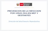 Dirección de Salud Sexual y Reproductiva - …diresatacna.gob.pe/media/ckeditor/files/6 Zika - Embarazo y MEF 27... · de Zarumilla y uno de Aguas Verdes. San Martín se detectaron