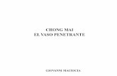 CHONG MAI EL VASO PENETRANTE - …escuelamaciocia.com/wp-content/uploads/2016/02/Chong-Mai.pdf · lumbar] y hasta la parte delantera en el abdomen. Vacía hacia el Interior en los