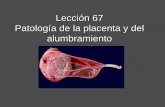 Lección 67 Patología de la placenta y del alumbramiento€¦ · tiene una placenta previa NO oclusiva insertada en la cara posterior. Usted le avisará de que en el curso del embarazo