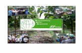 MIEMBRO DEL PACTO GLOBAL PANAMÁ - UN … · Reciba un cordial saludo en nombre de Fertilizantes de Centroamérica (Panamá), S.A. ... en cada país de Centroamérica, tuvo un destino