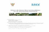 Línea de Base Biocombustibles en la Amazonia Peruana2008+-+Línea+de+Base+sobre... · Avances preliminares de este estudio fueron socializados y discutidos en eventos realizados