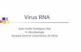 Juan Carlos Rodríguez Díaz S. Microbiología Hospital ... · Tratamiento del VRS: Aerosoles de ribavirina (sólo en ... Afectó a 8000 pacientes de 29 países con 916 muertes ...