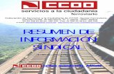 100720 RESUMEN DE INFORMACIÓN SINDICAL JUNIO · 2015-11-20 · e-mail: ferroviario@fsc ... RESUMEN DE INFORMACIÓN SINDICAL SECTOR FERROVIARIO CCOO Sector Ferroviario 1-30 de Junio