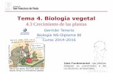 Tema 4. Biología vegetaldpbiologia.weebly.com/uploads/2/1/5/5/21553524/gtp_t4.biología... · fototropinas, que son proteínas que actúan a modo de fotorreceptores. Cuando las fototropinas