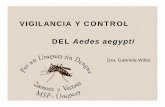 VIGILANCIA Y CONTROL - smu.org.uy · del dengue en la comunidad, ha sido largamente superada en el litoral del país. • El virus del dengue es fácilmente transportado por personas