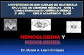 Hemoglobina y Mioglobina - Guía Bioquímica | Just ... · de la Hemoglobina y mioglobina. ... 4–Explicar el sistema de transporte de CO2 y O2 por la hemoglobina. CONCEPTOS 5–Explicar