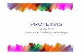 Presentación de PowerPoint · hidrólisis de las proteinas y la SACARASA la ... TRANSPORTE Transportan sustancias de un lugar a otro como ... MIOGLOBINA La mioglobina es una ...