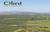 Especial Chile - Agromillora · cultura chilena y las prácticas adecuadas para obtener el máximo rendimiento en el cultivo del olivo. Almendro En esta edición también vamos a