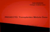 PROXECTO: Transplantes M©dula “ .Trasplantan con ©xito m©dula ³sea de donantes no compatibles
