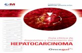 HEPATOCARCINOMA diagnóstico y tratamiento deloncosur.org/images/imagenes/guias_clinicas/hepato.pdf · Terapia biológica ..... 75 7.3. Quimioterapia ... de todas las neoplasias primarias