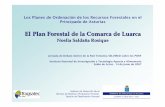 El Plan Forestal de la Comarca de Luarca -  · 1 Los Planes de Ordenación de los Recursos Forestales en el Principado de Asturias El Plan Forestal de la Comarca de Luarca Noelia