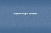 Microbiología General · Estructura y organización del citoplasma Procariota Presentes (solo en géneros Gram +) Muy termorresistentes Formas de motilidad Compuestos de un solo