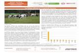La fiebre aftosa en el ganado bovino - dane.gov.co · Boletín mensual INSUMOS Y FACTORES ASOCIADOS A LA PRODUCCIÓN AGROPECUARIA Octubre 2014 • Núm. 28 CONTENIDO pág. La fiebre